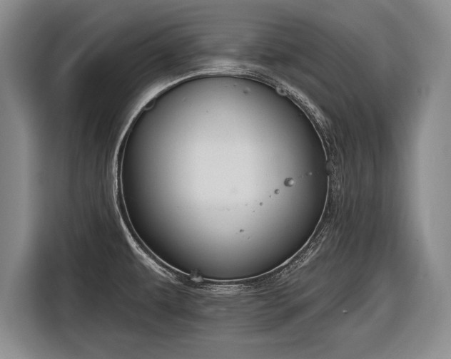 X0000116651479200912211437