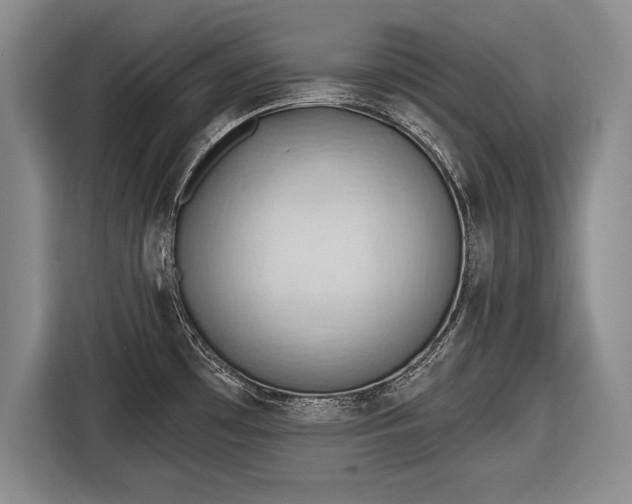 X0000116651481200912211437