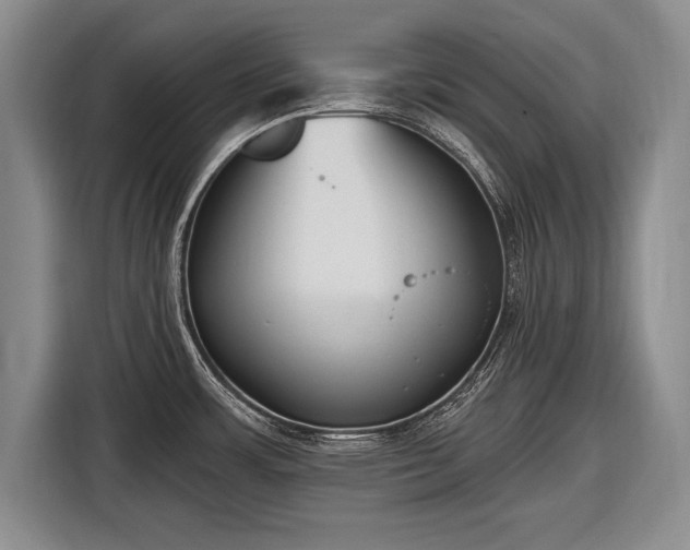 X0000116651483200912211437