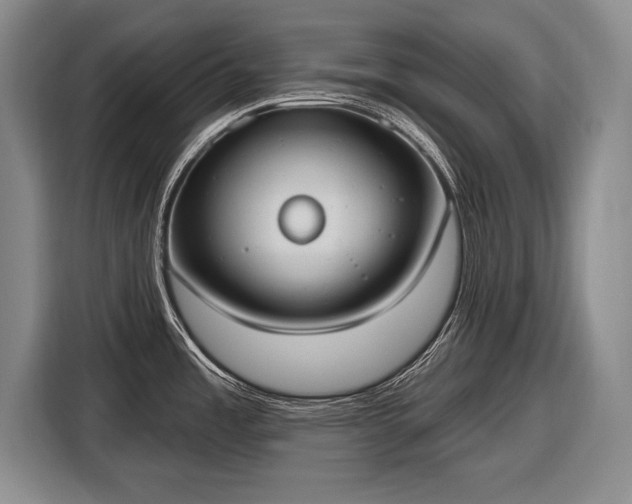 X0000116651485200912211437