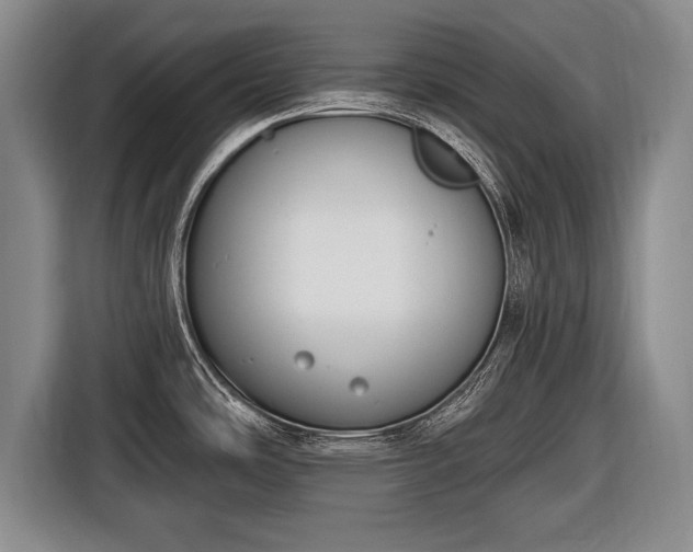 X0000116651486200912211437