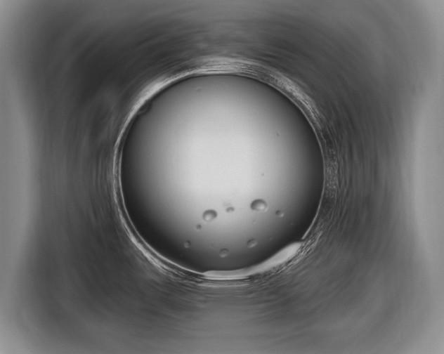X0000116651487200912211437