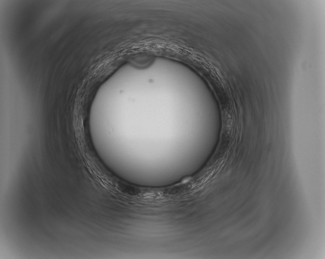 X0000116651489200912211436
