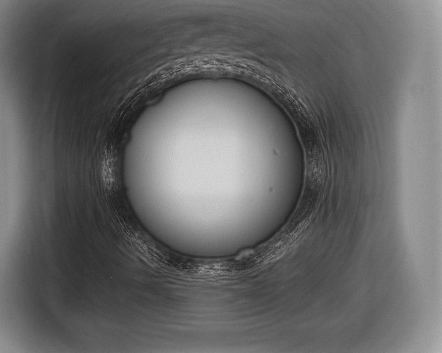 X0000116651490200912211436