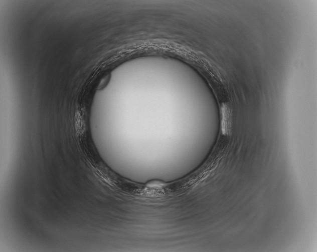 X0000116651491200912211437