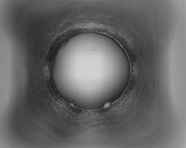X0000116651493200912211437
