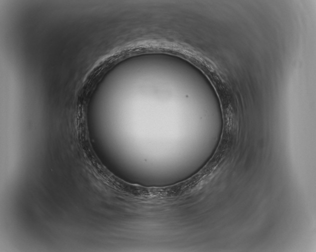 X0000116651494200912211437