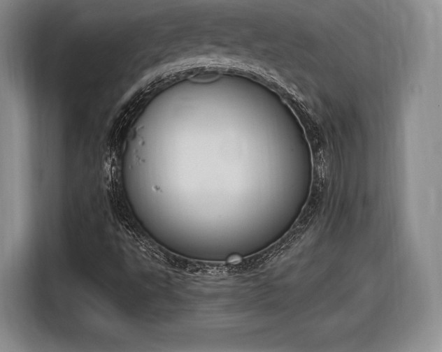 X0000116651495200912211437