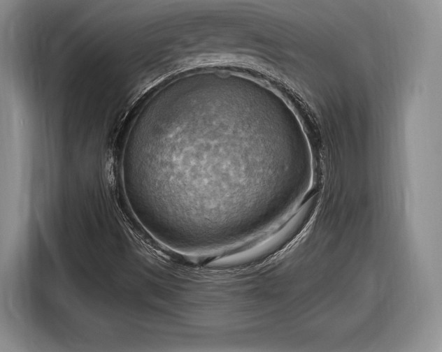 X0000116651497200912211437
