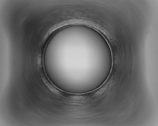 X0000116651499200912211437
