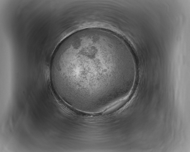X0000116651505200912211437