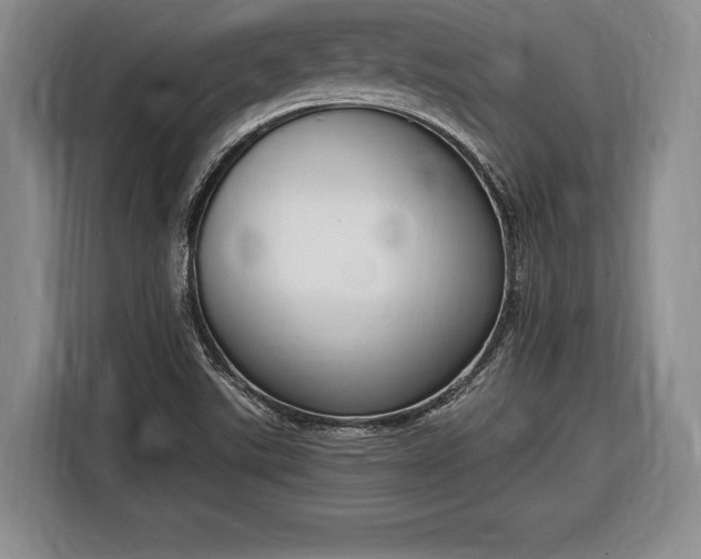X0000116651507200912211437