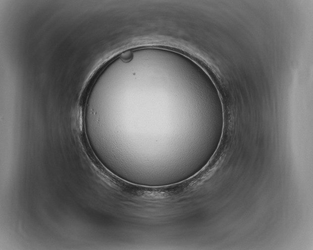 X0000116651509200912211437