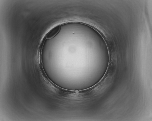 X0000116651510200912211437