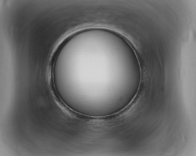 X0000116651511200912211437