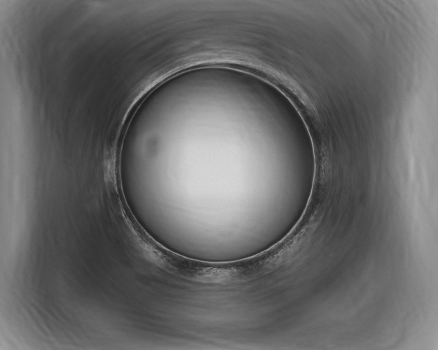 X0000116651513200912211437