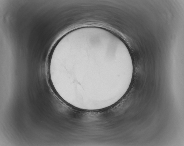 X0000116651514200912211437