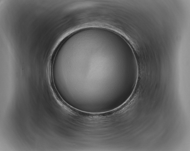 X0000116651515200912211437