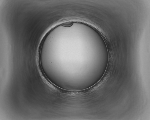X0000116651518200912211437