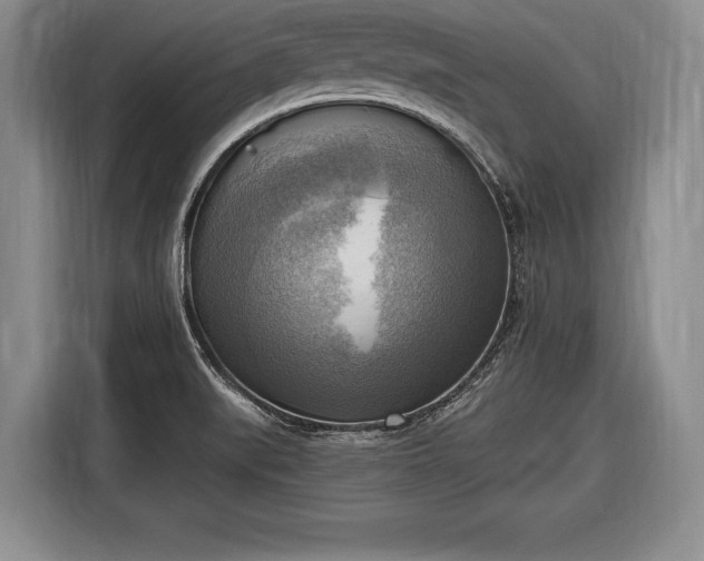 X0000116651519200912211437