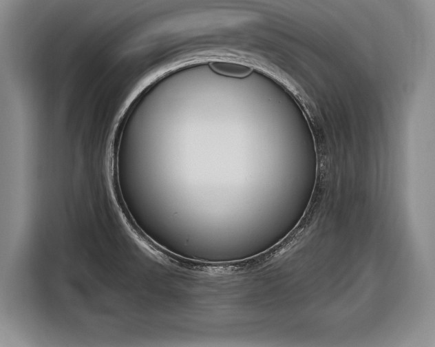 X0000116651523200912211437