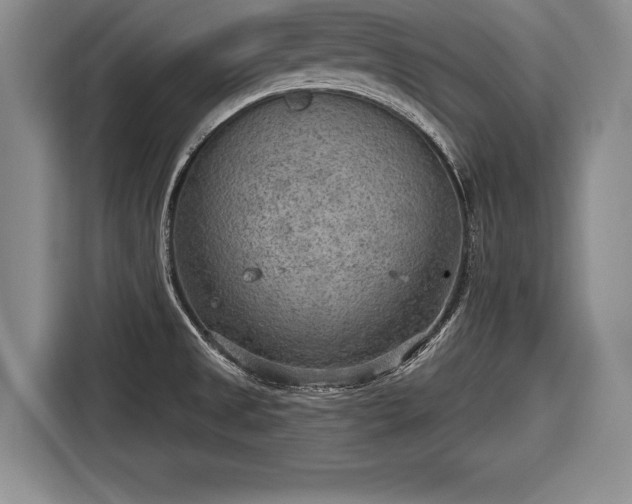 X0000116651525200912211437