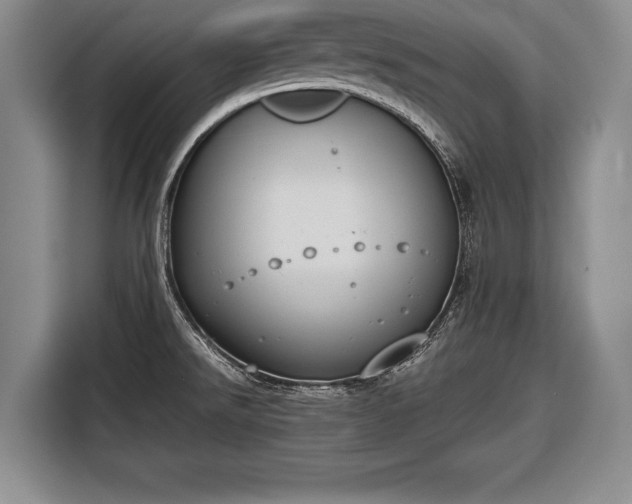 X0000116651526200912211437