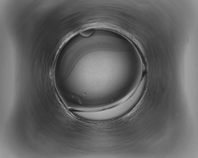 X0000116651529200912211437