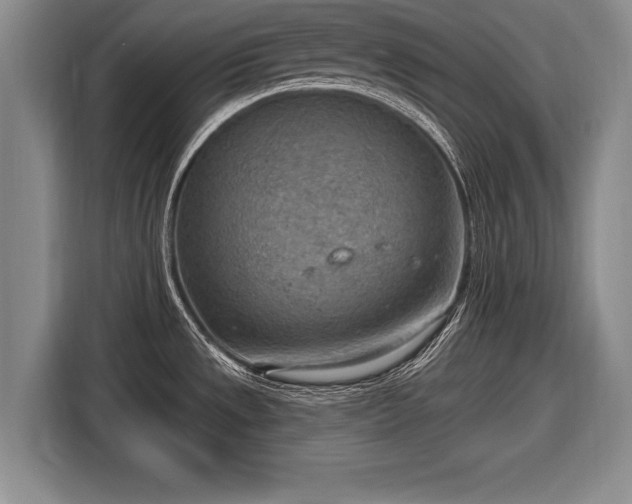 X0000116651533200912211437