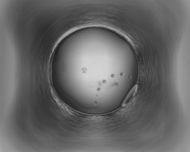 X0000116651534200912211437