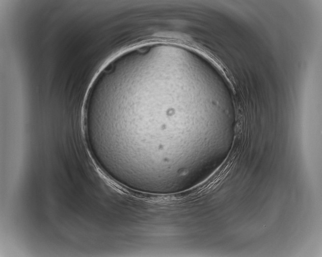 X0000116651535200912211437