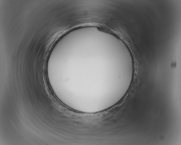 X0000116650001200912291626