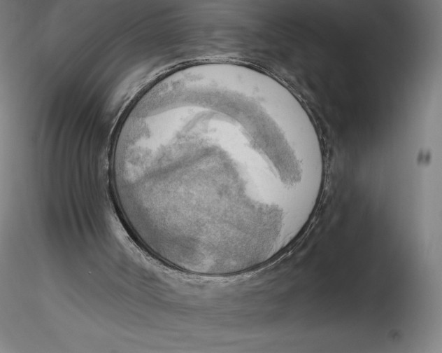 X0000116650002200912291626