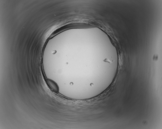 X0000116650003200912291626