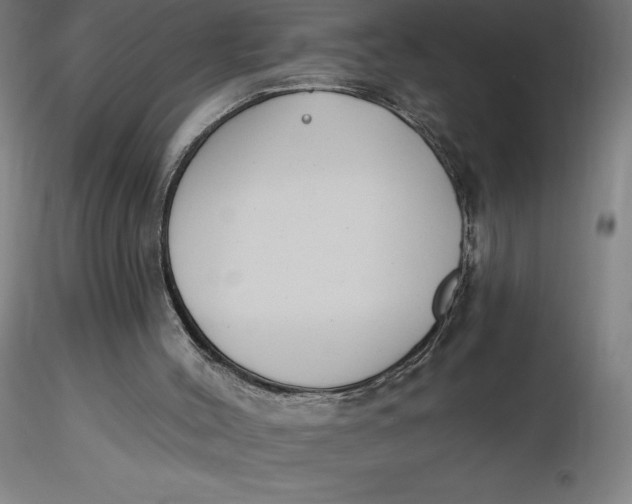 X0000116650004200912291626