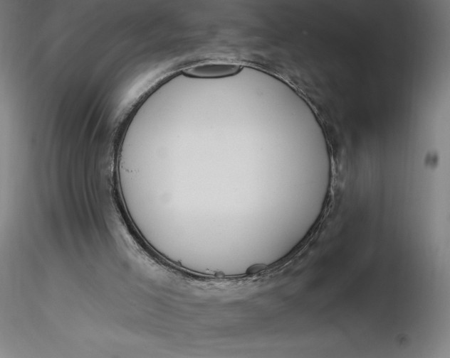 X0000116650005200912291626