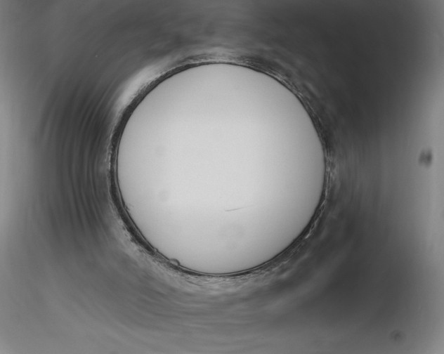 X0000116650006200912291626