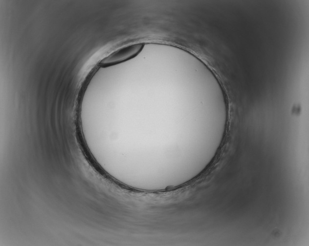 X0000116650007200912291626