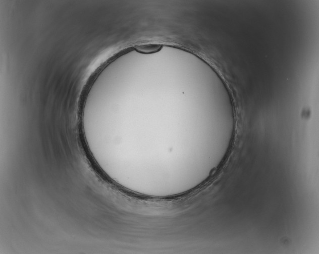 X0000116650008200912291626