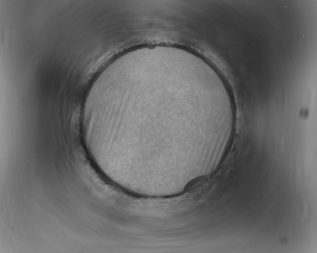 X0000116650009200912291626