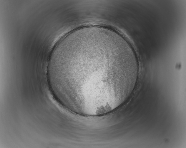 X0000116650010200912291626