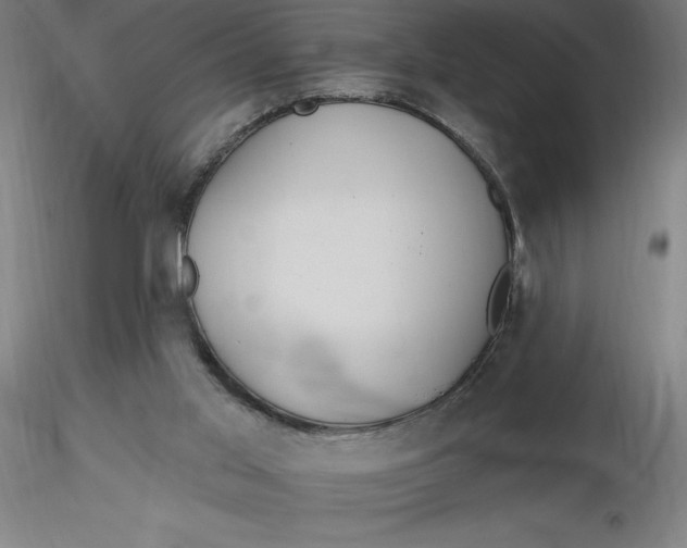 X0000116650013200912291626