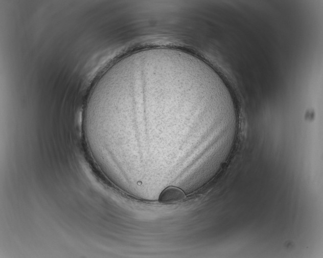 X0000116650014200912291626