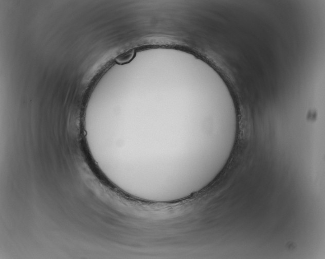 X0000116650015200912291626