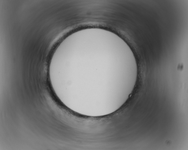 X0000116650016200912291626