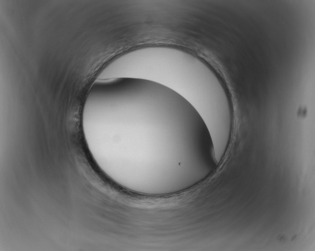 X0000116650017200912291626