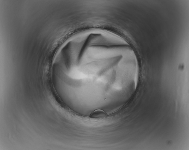 X0000116650018200912291626