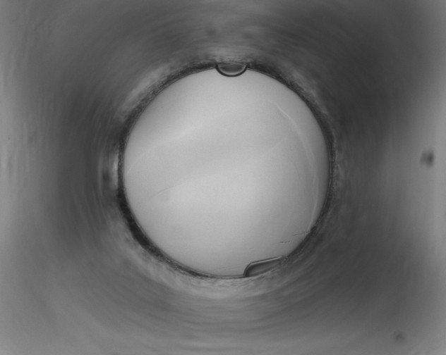 X0000116650019200912291626