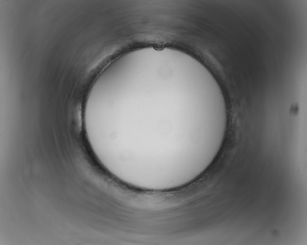 X0000116650020200912291626