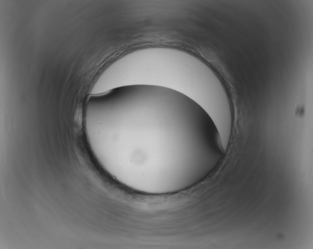 X0000116650021200912291626